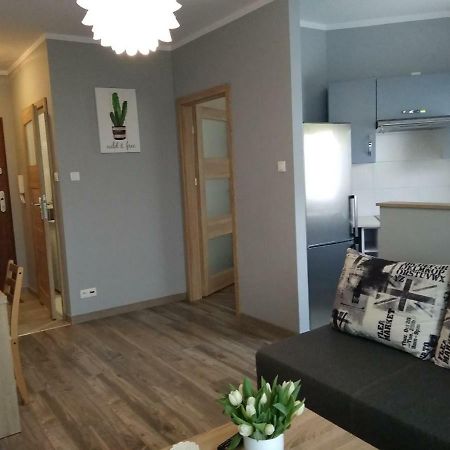 Apartament Edelmana Apartment Gorzow Wielkopolski Luaran gambar
