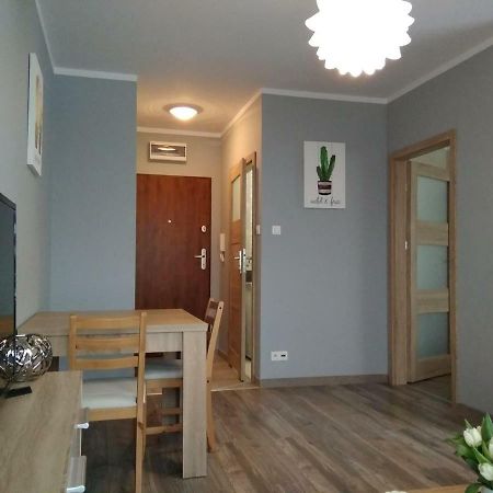 Apartament Edelmana Apartment Gorzow Wielkopolski Luaran gambar
